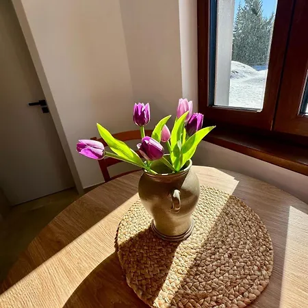 Pod Lovčí Skálou Apartamento *